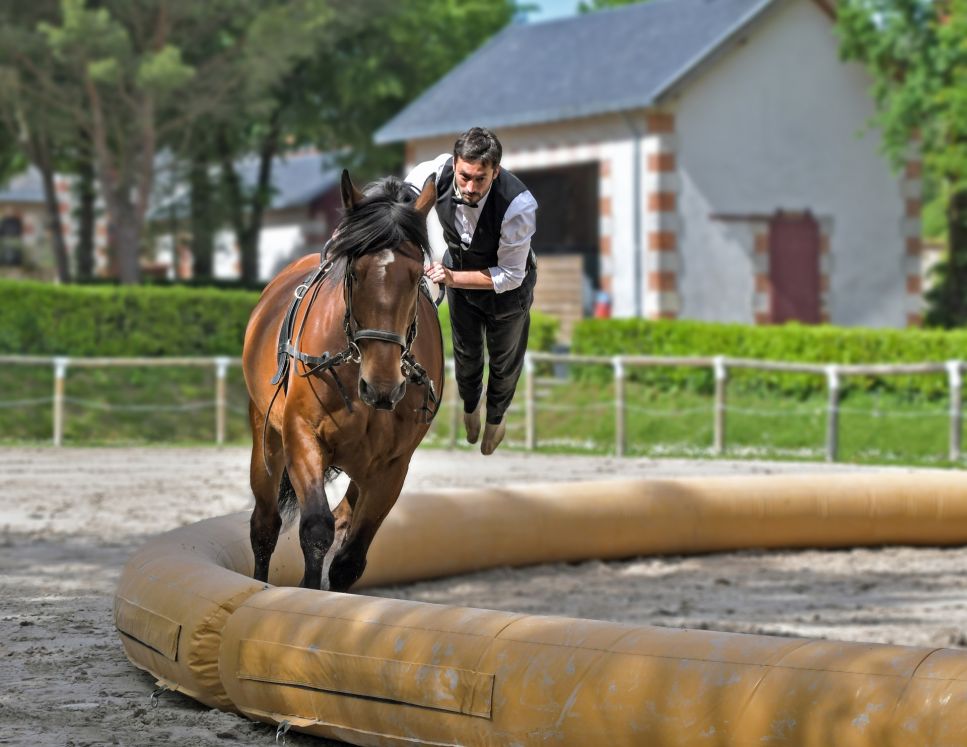 Was ist das für ein Sport auf dem Pferderücken?