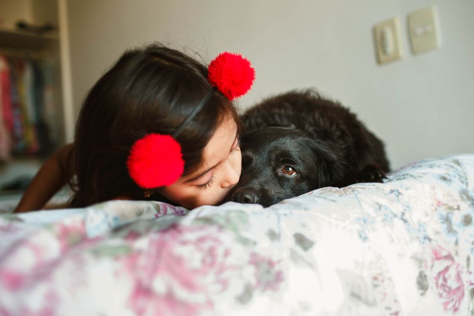 Welche Bedeutung haben Träume über Hunde?