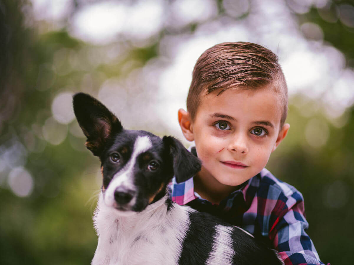 Welpe im Haus Teil 1 - Die Wahl eines Hundes