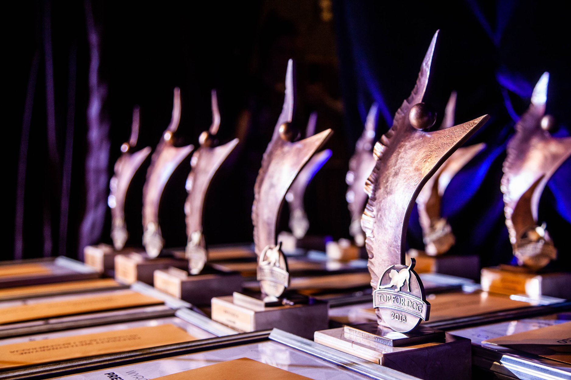 Fera.pl ist erneut der beste Online-Shop in der TOP FOR DOG-Umfrage!