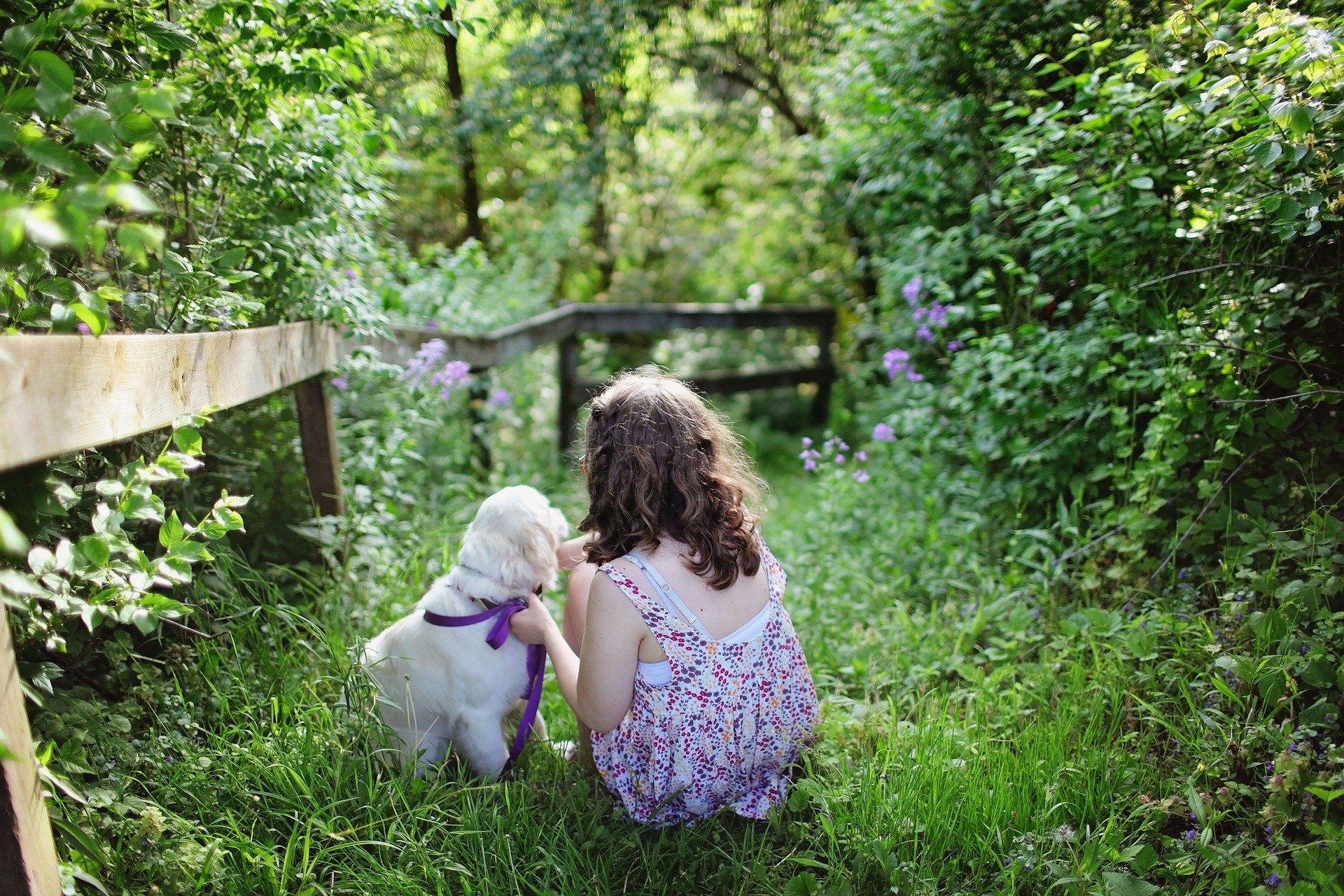 Hunde für Kinder sollten fürsorglich, sanft und geduldig sein.
