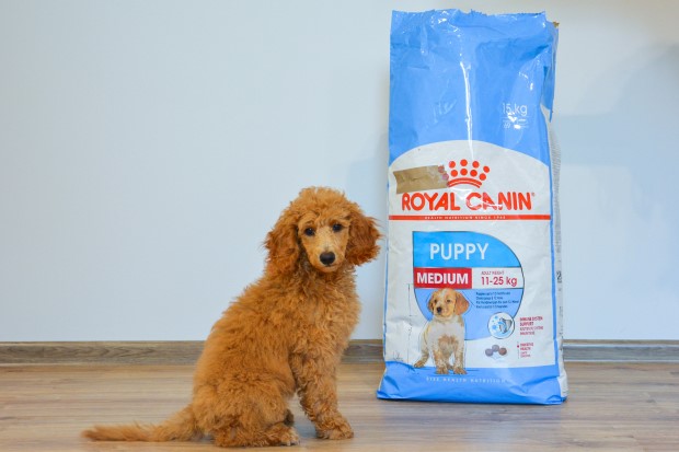 Royal Canin Puppy Tørfoder til hvalpe af mellemstore racer.
