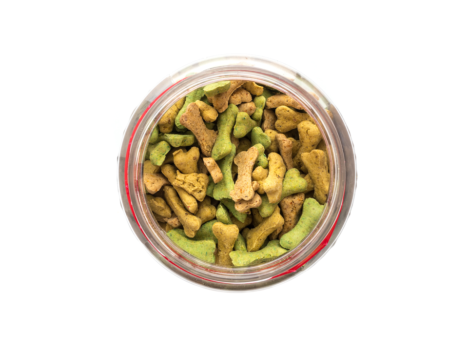 Glas med terninger til hunde. Snacks med gurkemeje har sundhedsfremmende egenskaber