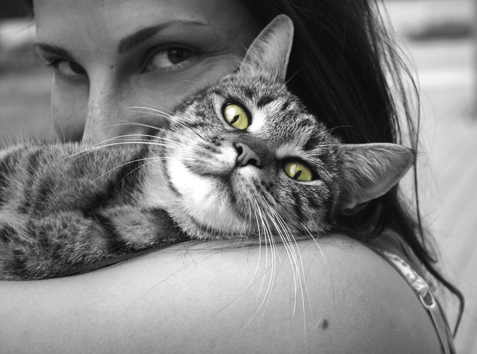 Sort-hvidt foto af katten i kvindens hænder. Kvinden kysser katten. Kun kattens øjne er grønne.