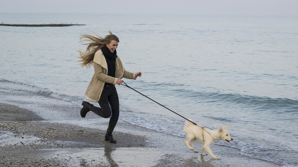 At løbe med en hund er sjovt - også om vinteren.