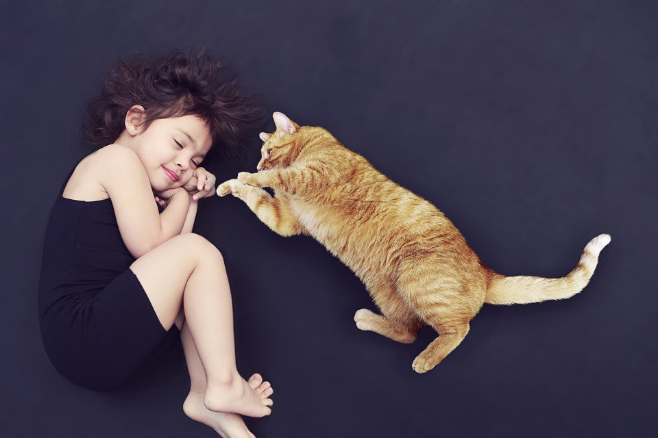 Katten ligger ved siden af den liggende lille pige, katten forsøger at lokke hende til at lege.