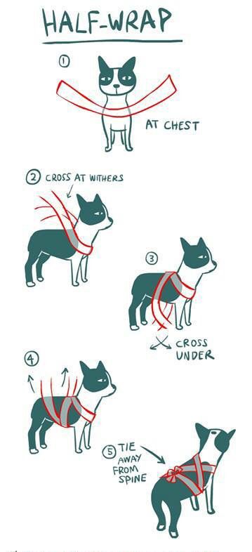 At pakke hunden ind med en bandage har en beroligende effekt ved at udøve tryk på de relevante nerver. Du bør dog gøre det bevidst og vide, for en dårlig indpakning kan gøre mere skade end gavn.