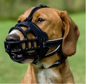 En fysiologisk mundkurv. Bedst til en hund. Den tillader ham at trække vejret frit, gabe og drikke vand