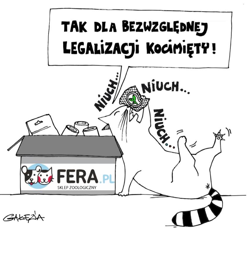 Katten, der sniffer katteurt, udråber 'Ja til den absolutte legalisering af katteurt'.
