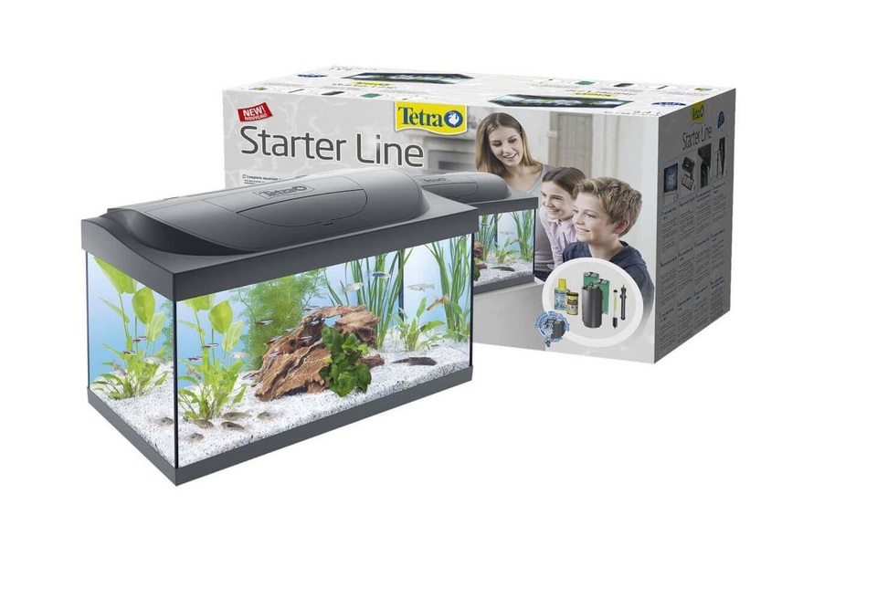 første akvarium