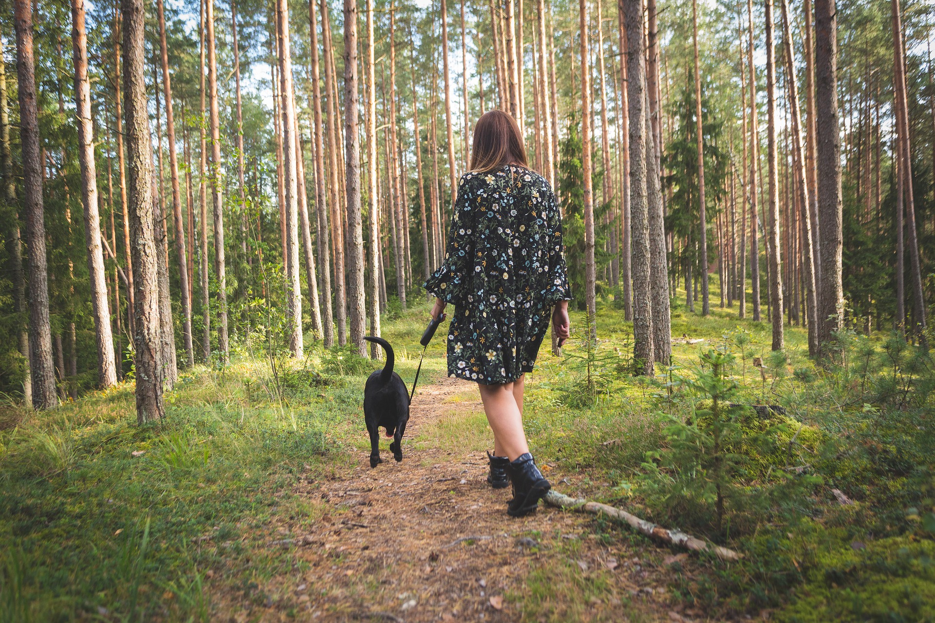 Før du tager din hund med til udlandet, skal du kontrollere reglerne for rejser med dyr, både i det land, hvor vores rejse finder sted, og i det land, vi ønsker at rejse til.