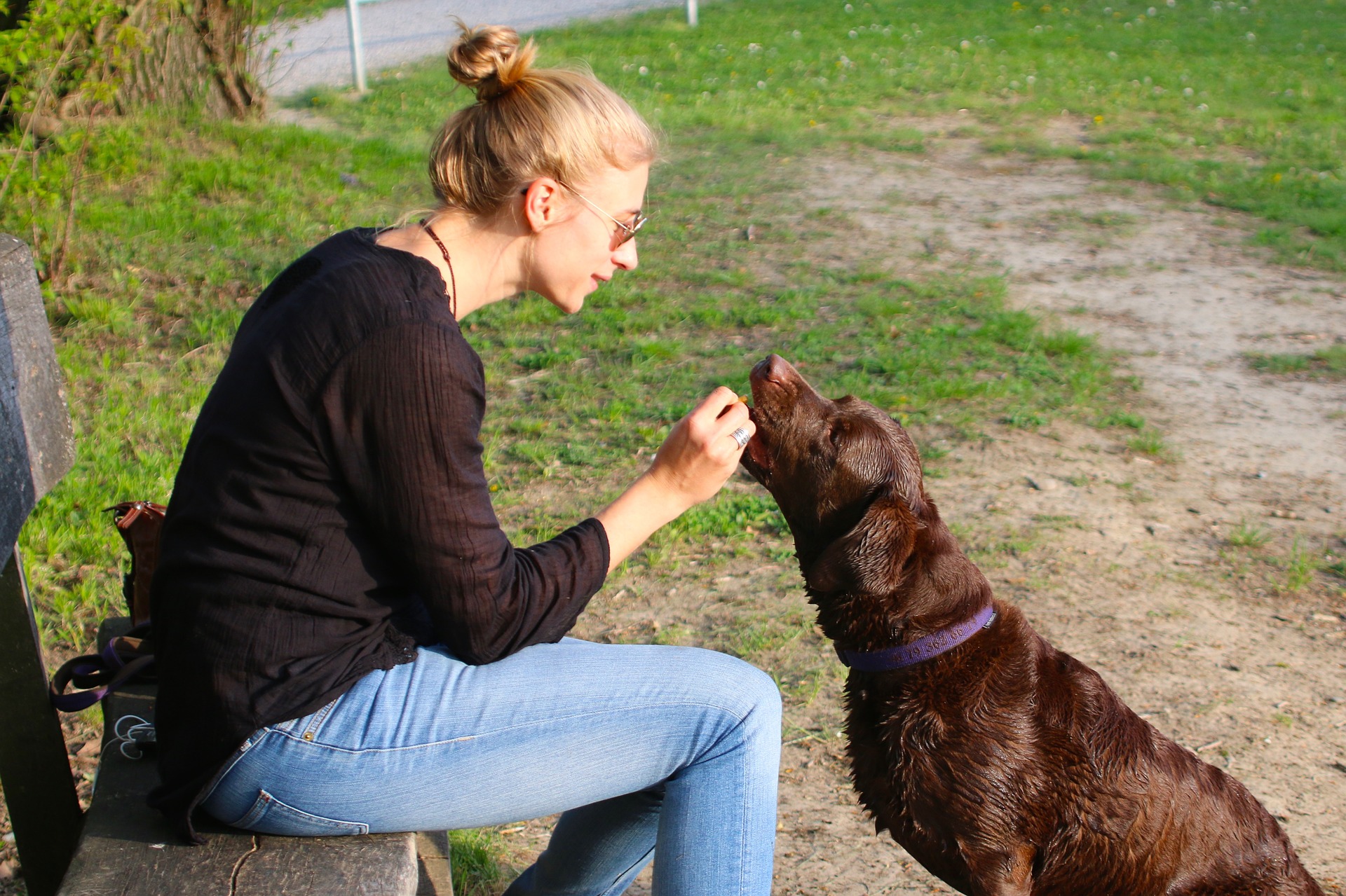 Opdrættere og trænere understreger, at positiv motivation og belønning af et kæledyr er nøglen til opdragelsen af hunde. Brug af en halter er en form for straf og bør under ingen omstændigheder blive en af de vigtigste træningsmetoder.