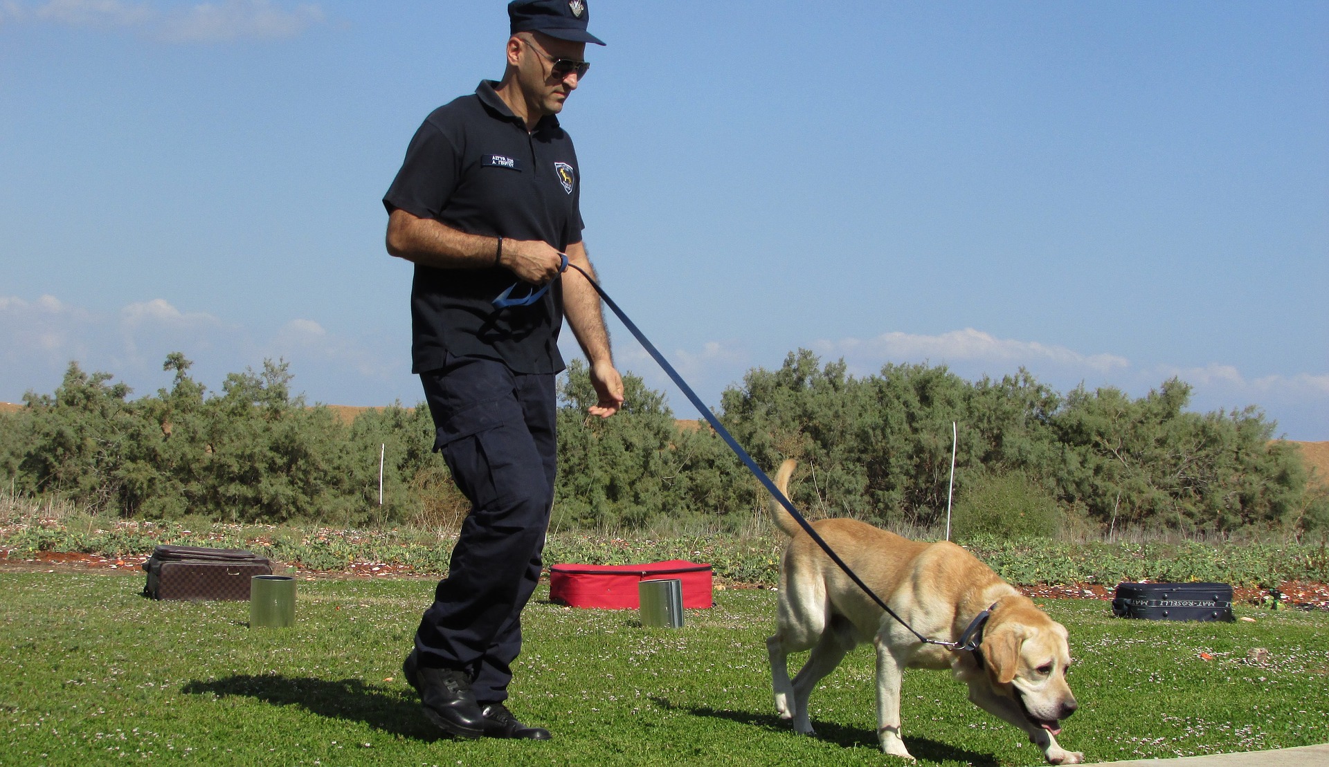 En politihund trænes fra hvalpealderen til specifikke opgaver. Nogle racer, som f.eks. den tyske schæferhund, har en prædisposition for tjeneste.