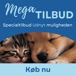 TOP-tilbud