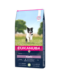 EUKANUBA Dog Puppy Small & Medium Breed Lamb & Rice 12 kg