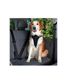 TRIXIE Autogeschirr Dog Comfort (L) 65–80 cm / 25 mm
