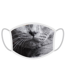 FERA Schutzmaske Britisch Kurzhaar Katze