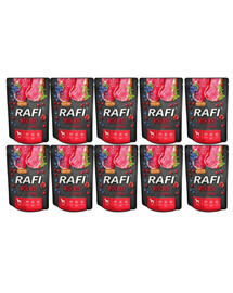 DOLINA NOTECI RAFI mit Rindfleischbeutel für Hunde 10 x 300 g