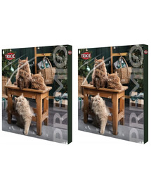 TRIXIE Adventskalender für Katzen  x 2