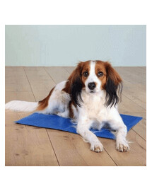 TRIXIE Kühlmatte 65 × 50 cm