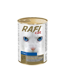 DOLINA NOTECI Rafi Cat mit Fischfleisch in Sauce 415 g