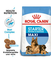 ROYAL CANIN MAXI Starter für tragende Hündin und Welpen 15 kg