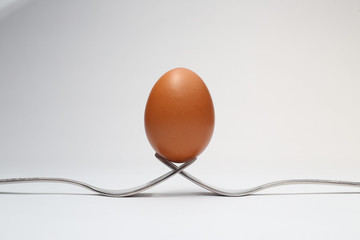 Oder ist gekocht oder das Eigelb selbst besser?
