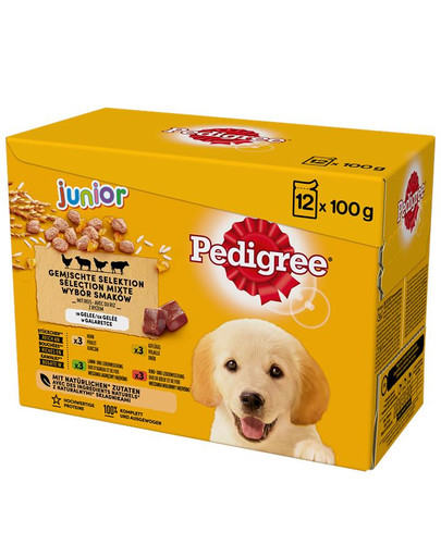 PEDIGREE Pedigree Junior in Gelee 12x100g