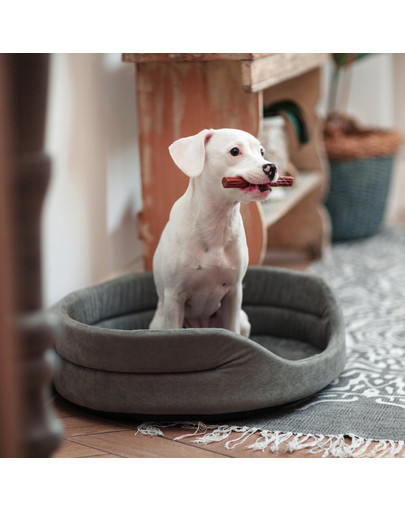 FERA Hundebett oval grau S 53x44x16 cm