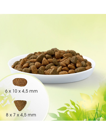 PERFECT FIT Natural Vitality mit Rindfleisch und Huhn für ausgewachsene Katzen 2,4 kg