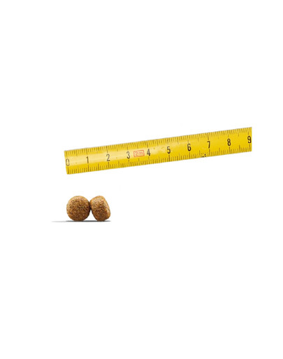 JOSERA Balance 900g