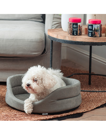 FERA Hundebett 47x38x15 cm oval mit Kissen grau