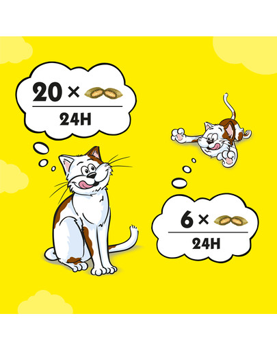DREAMIES Variety Snack Box Katzensnacks mit verschiedenen Geschmacksrichtungen Huhn, Käse & Lachs 12 x 60g
