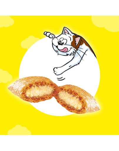 DREAMIES Variety Snack Box Katzensnacks mit verschiedenen Geschmacksrichtungen Huhn, Käse & Lachs 12 x 60g