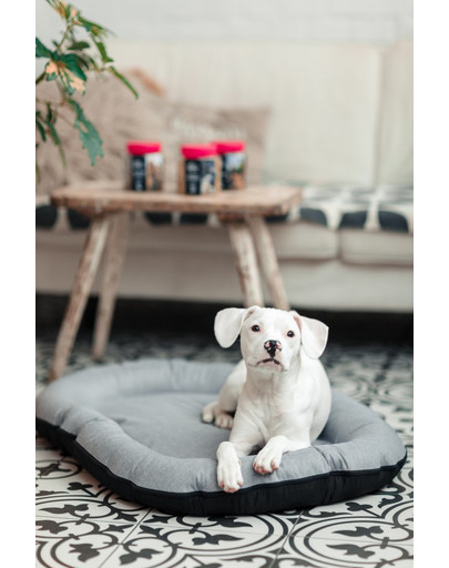 FERA Sky Pontoon Hundebett hellgrau S 74 x 46 cm