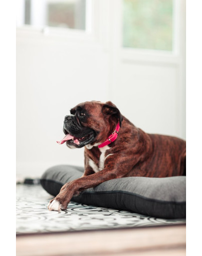 FERA Sky Pontoon Hundebett dunkelgrau S 70 x 46 cm