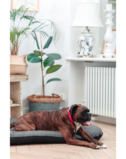 FERA Sky Pontoon Hundebett dunkelgrau S 70 x 46 cm