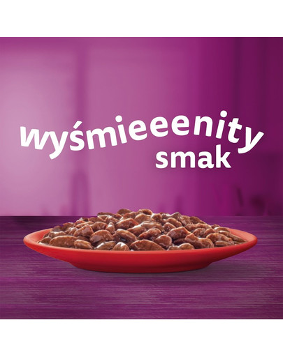 WHISKAS Classic Meals Nassvollnahrung für ausgewachsene Katzen in Sauce 40x85 g