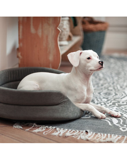 FERA ovales Hundebett mit Kissen 53x44x16 cm grau
