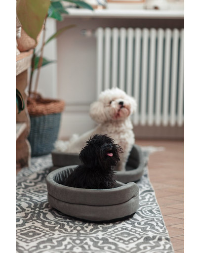 FERA ovales Hundebett mit Kissen 53x44x16 cm grau