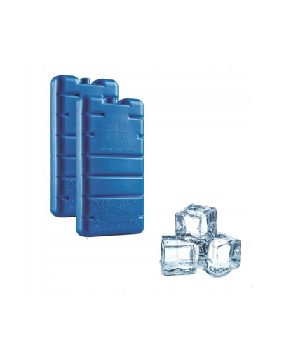 CURVER Ice Pack Reise-Kühlschrank-Einsatz 2 Stk
