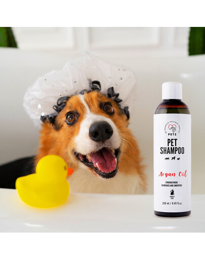 PETS Shampoo Argan oil Shampoo für langes Haar 250 ml