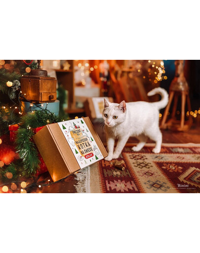 ZOLUX Katzen-Geschenkset