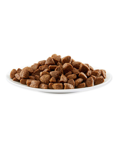 APPLAWS Adult Small & Medium  Chicken 7.5 kg