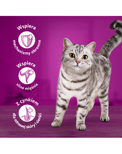 WHISKAS Junior 28x85g Nassfutter für Kätzchen mit Huhn in Gelee