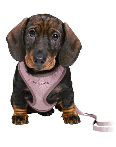 TRIXIE Junior Welpen-Softgeschirr mit Leine Flieder