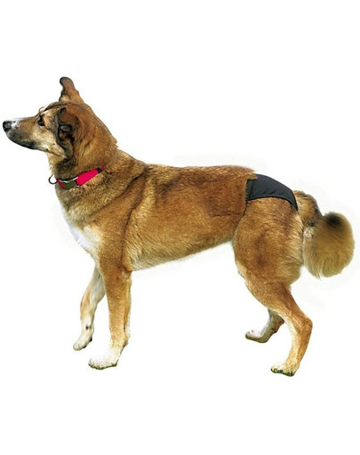 TRIXIE Schutzhöschen, XL 60–70 cm, schwarz