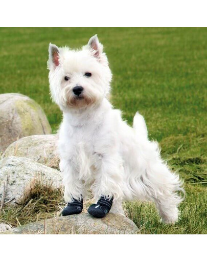 TRIXIE Pfotenschutz Walker Active, M-L, 2 ks