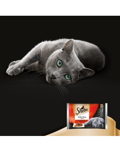 SHEBA Selection in Soße Saftige Geschmacksrichtungen 12 x 85g