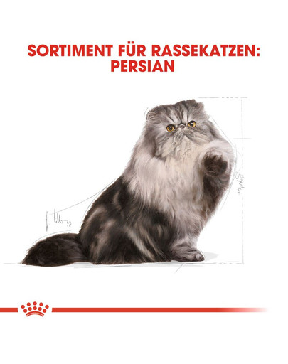 ROYAL CANIN Persian Adult Trockenfutter für Perser-Katzen 2 kg